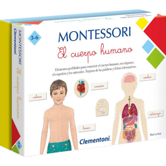 Montessori: El Cuerpo Humano
