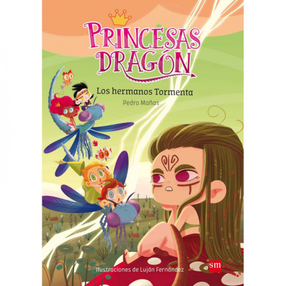 Princesas Dragón 5: Los Hermanos Tormenta