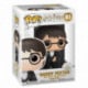 Funko Pop! Harry Potter Figura de Vinilo Harry Potter Wizarding World