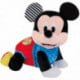 Disney Baby Mickey Gateos