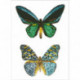 Diamnond Dotz Antique Butterflies