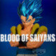 Banpresto DBS Blood of Saiyans Special XV