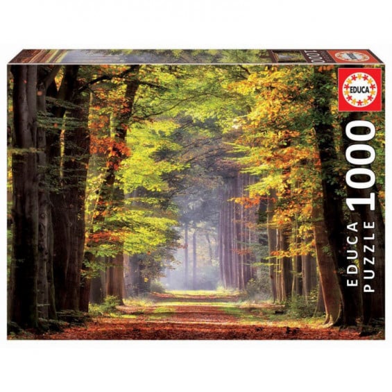 Puzzle 1000 Piezas Paseo Otoñal