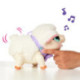 Little Live Pets My Pet Lamb Snowie