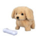 Perrito Con Hueso