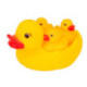 Nenittos Familia de Patos