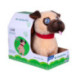 Mascottas Mi Cachorrito