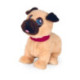 Mascottas Mi Cachorrito