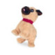 Mascottas Mi Cachorrito