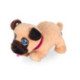 Mascottas Mi Cachorrito