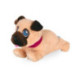 Mascottas Mi Cachorrito