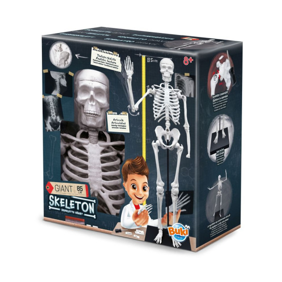 Esqueleto 85 cm