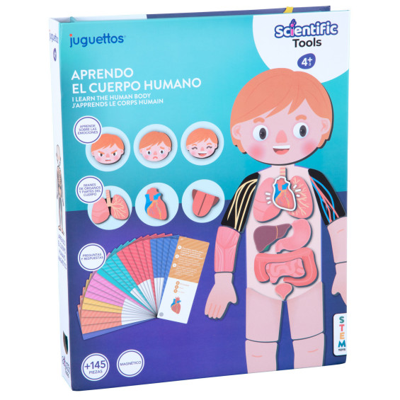 Scientific Tools Aprendo el Cuerpo Humano Magnético