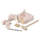 Scientific Tools Set de Excavación