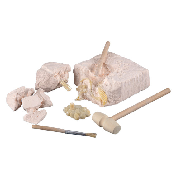 Scientific Tools Set de Excavación