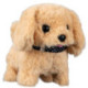 Mascottas Peluquería Canina