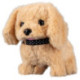 Mascottas Peluquería Canina