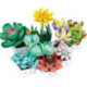 Juguettos Construye Tus Mini Plantas