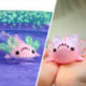 Fingerlings Axolotl Nadador