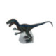 Dinosaurio Velociraptor Model Series