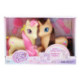 Pack 2 Unicornios con Accesorios
