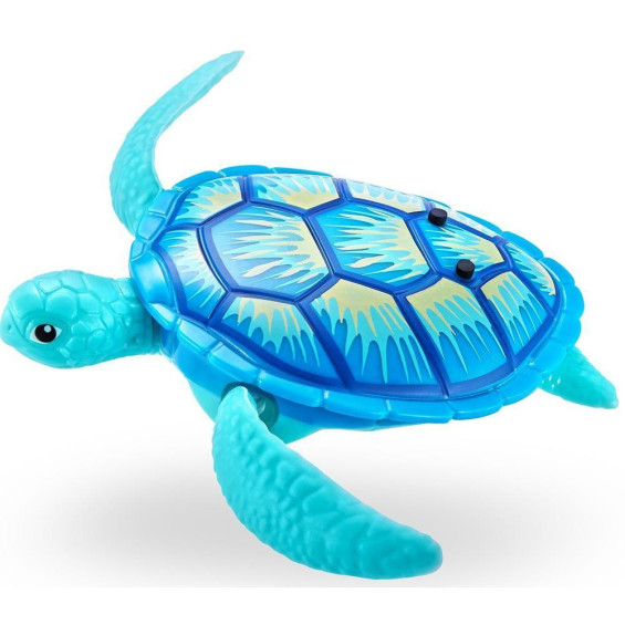 Roboturtle Varios Modelos