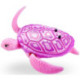 Roboturtle Varios Modelos