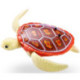 Roboturtle Varios Modelos