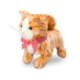 Mascottas Mi Gatito Andarín Varios Modelos