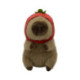 Peluche Capibara 20 cm Varios Modelos