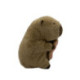 Peluche Capibara 20 cm Varios Modelos