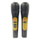 VTech Karaoke Light Party Duo Golden Edition