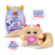 Rainbocorns Kittycorn Surprise Peluche Gatito Varios Modelos