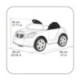 Feber Twinkle Car Radiocontrol 12V