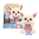 Baby Paws Yummy Peluche Chihuahua