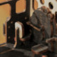 Rolife Steam Journey Rompecabezas 3D de Madera