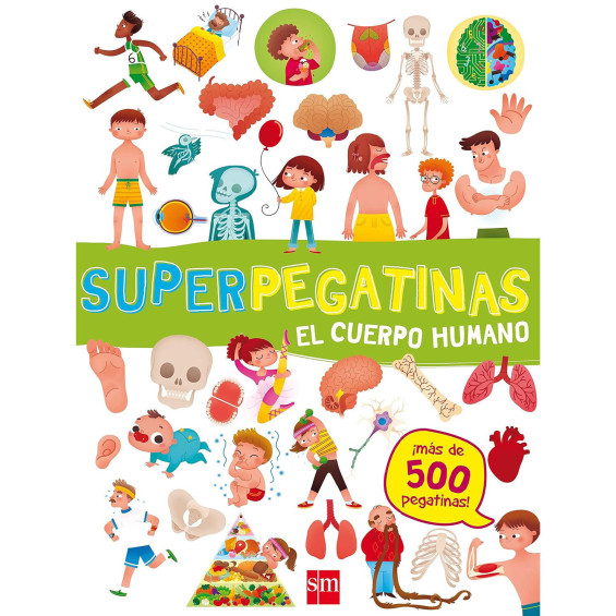 Superpegatinas El Cuerpo Humano
