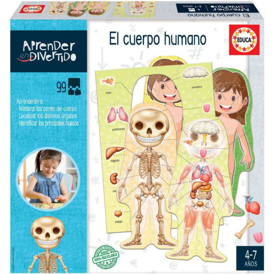 El Cuerpo Humano