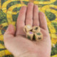 Jumanji Juego De Mesa