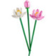 LEGO Botanicals Flores De Loto - 40647