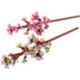 LEGO Botanicals Flores De Cerezo - 40725