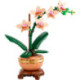 LEGO Botanicals Collection Miniorquídea - 10343