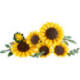 LEGO Botanicals Ramo de Girasoles - 11502