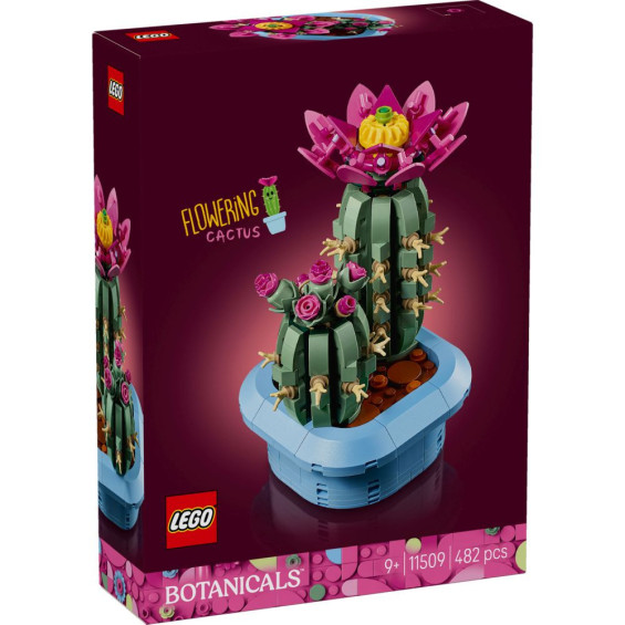 LEGO Botanicals Cactus en Flor - 11509