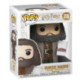 Funko Pop! Harry Potter Figura De Vinilo Rubeus Hagrid 15 cm