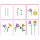 MAX Bricks Flowers Cápsula con Bloques de Construcción de Flores Varios Modelos