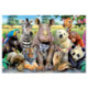 Educa Puzzle 1000 Piezas Foto de Clase - 15517