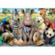Educa Puzzle 300 Piezas Foto de Clase - 15908