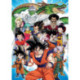 Educa Puzzle 1000 Piezas Dragon Ball - 18496