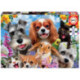 Educa Puzzle 200 Piezas Selfie Pet Parade - 19293
